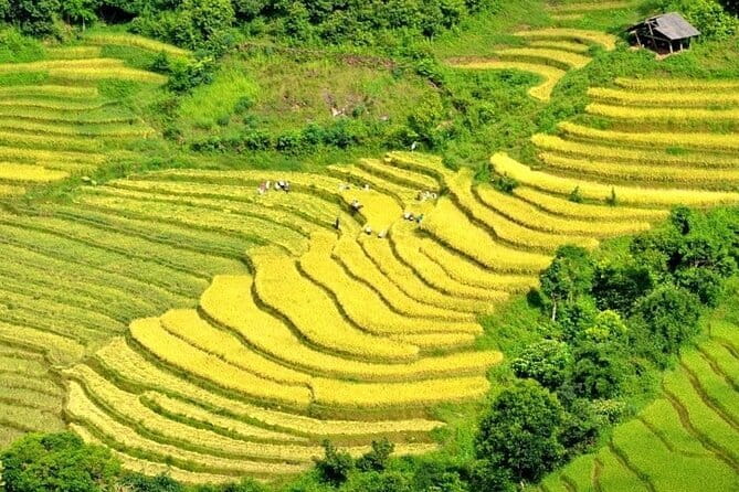 From Sapa: 2 Days 1 Night Trek Over Night At Homestay - Day two through Giang Ta Chai and Supan