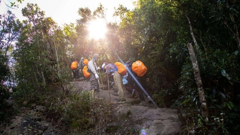 From Sapa: Full-Day Fansipan Peak Trekking Tour - Why This Fansipan Trek Is Different