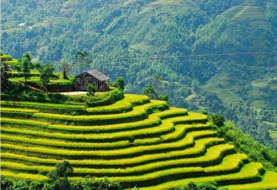 From Sapa: Full-Day Trekking Tour Lao Chai & Ta Van Villages - Key points at a glance