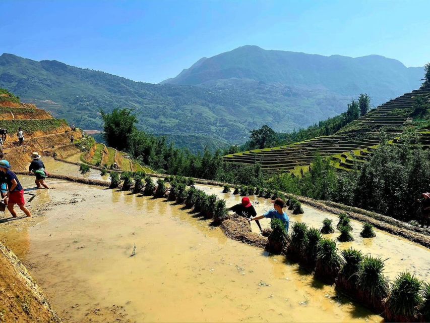 From Sapa: Full-Day Trekking Tour Lao Chai & Ta Van Villages - What $23 buys you