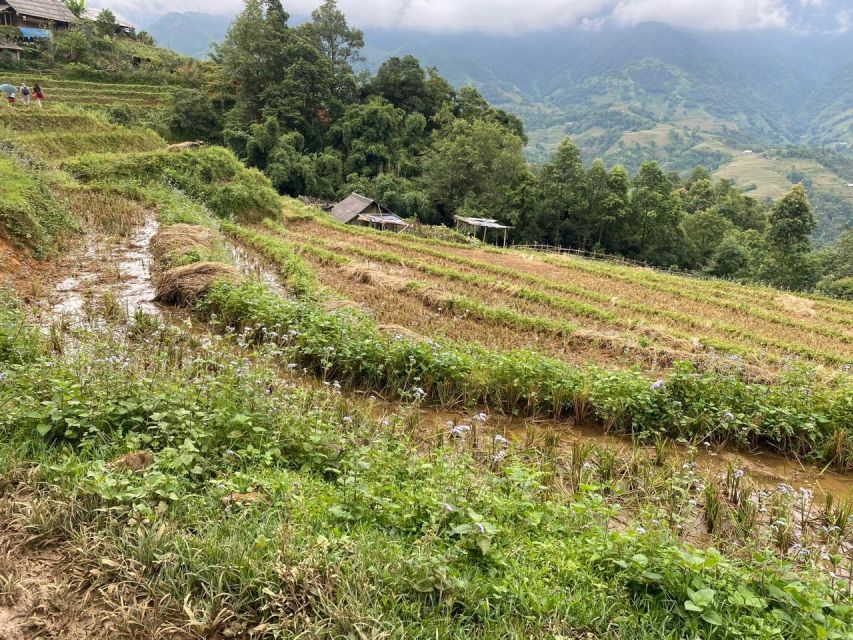 From Sapa: Full-Day Trekking Tour Lao Chai & Ta Van Villages - The walk to Ta Van and its stilt houses