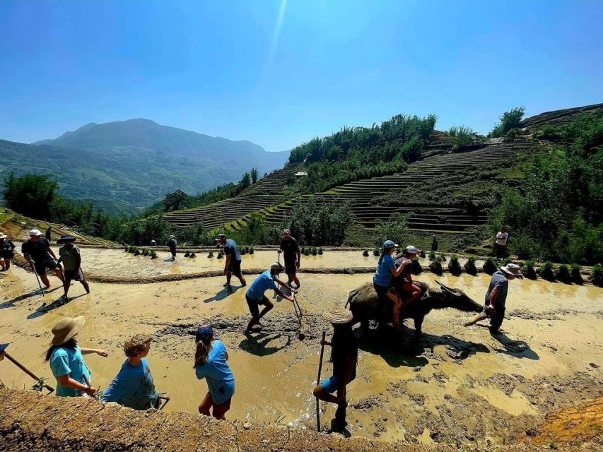 From Sapa: Full-Day Trekking Tour Lao Chai & Ta Van Villages - The return to Sapa between 14:30 and 15:00
