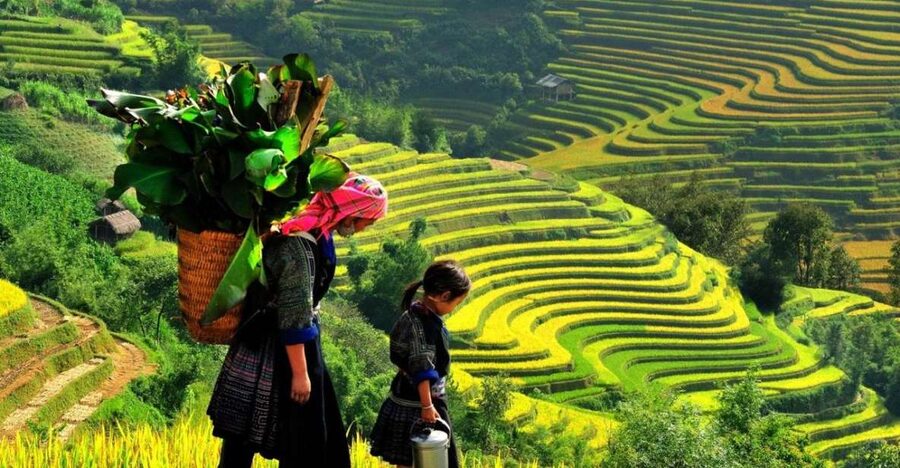 From Sapa: Full-Day Trekking Tour Lao Chai & Ta Van Villages - The 8:00 pickup from Sapa