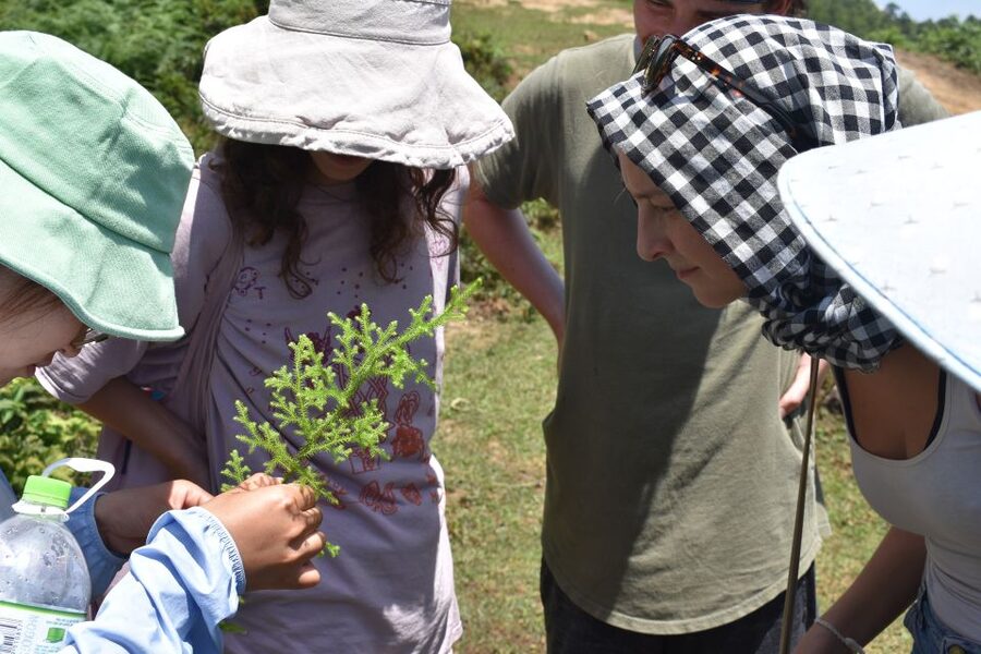 From Sapa: Muong Hoa Valley View & Village Trek 1-Day - Guides, communication, and the private format
