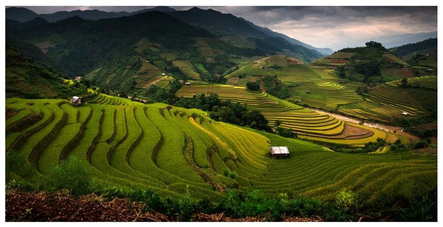 From Sapa: Terrace Fields and Local Villages Trek with Lunch - Starting in Sapa Town Between 8:00 and 8:45