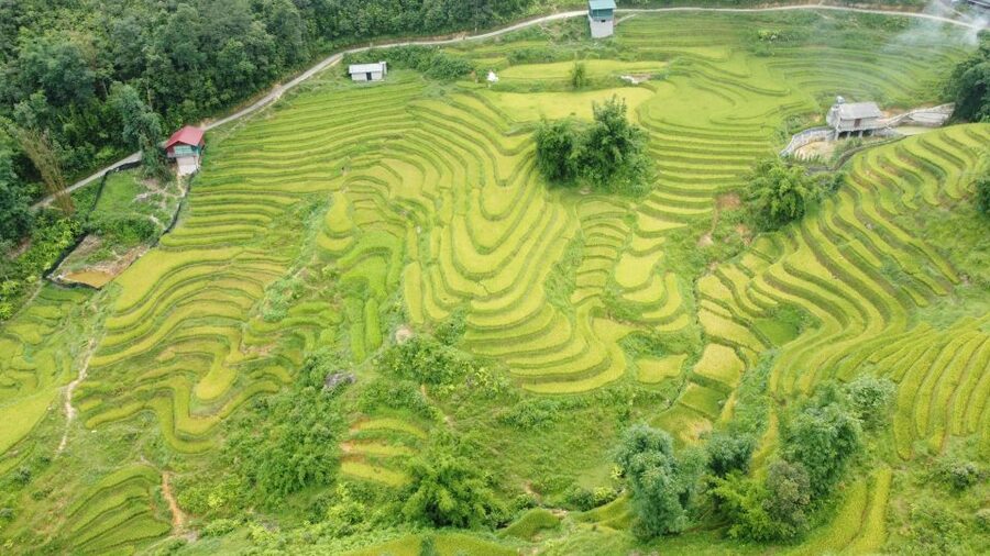 From Sapa: Terrace Fields and Local Villages Trek with Lunch - The Waterfall Stop and the Practical Side of the Trail