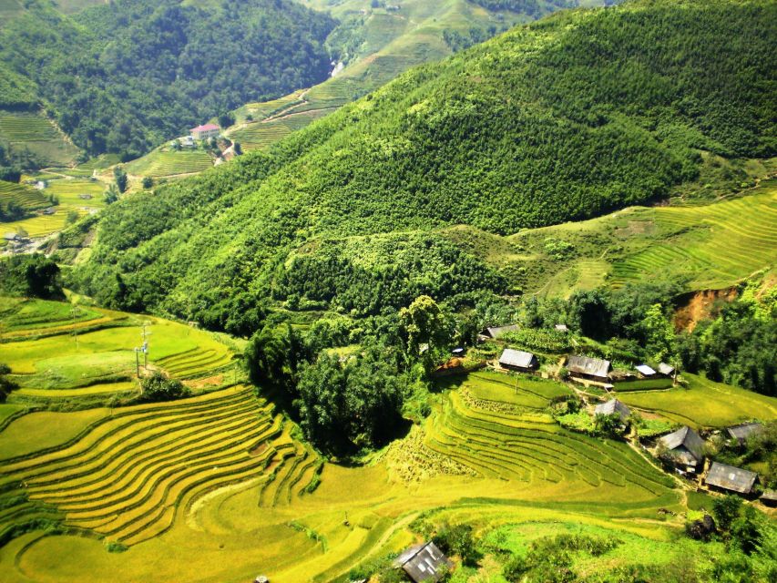 From Sapa: Terrace Fields and Local Villages Trek with Lunch - Should You Book It?