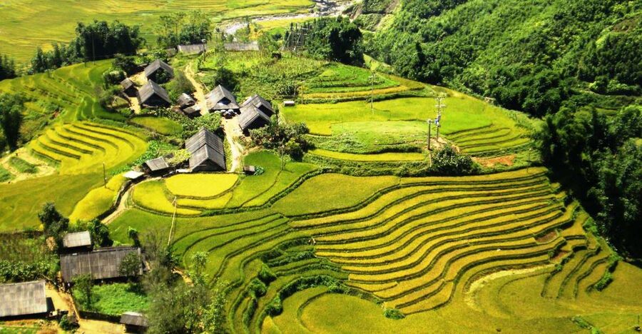 From Sapa: Terrace Fields and Local Villages Trek with Lunch - Leaving Town for Rice, Corn, and Potato Fields