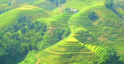 Waterfalls, Trekking and Tribal Villages Tour