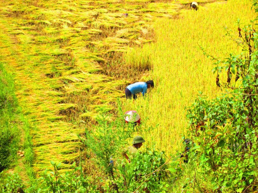 From Sapa: Waterfalls, Trekking and Tribal Villages Tour - What to wear and pack for Sapa’s changing weather