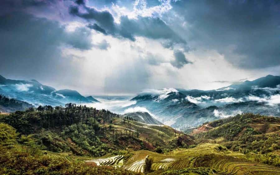 From Sapa: Y Linh Ho, Lao Chai & Ta Van Trek Day Tour - Why this Sapa trek is worth considering