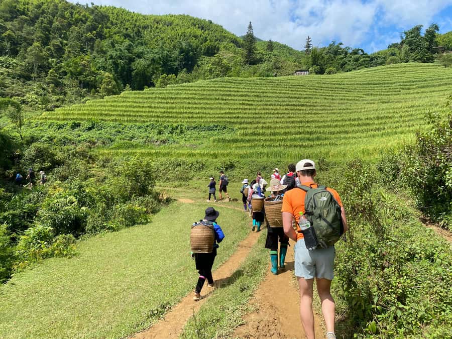 From Sapa: Y Linh Ho, Lao Chai & Ta Van Trek Day Tour - Walking beside Muong Hoa Stream