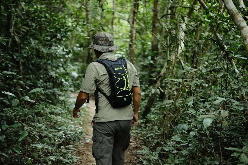 From Siem Reap: Phnom Kulen National Park Trekking Tour - Walking through Phnom Kulen’s rainforest