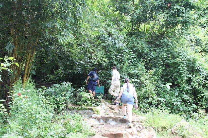 From Siem Reap: Phnom Kulen National Park Trekking Tour - Seeing water flow over the Thousand Lingams