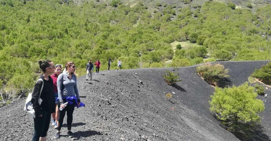 From Taormina: Half-Day Mount Etna Morning Trek - What the guides add to the volcano