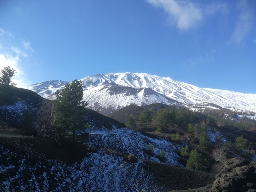 From Taormina: Half-Day Mount Etna Morning Trek - Is $106 a fair price?