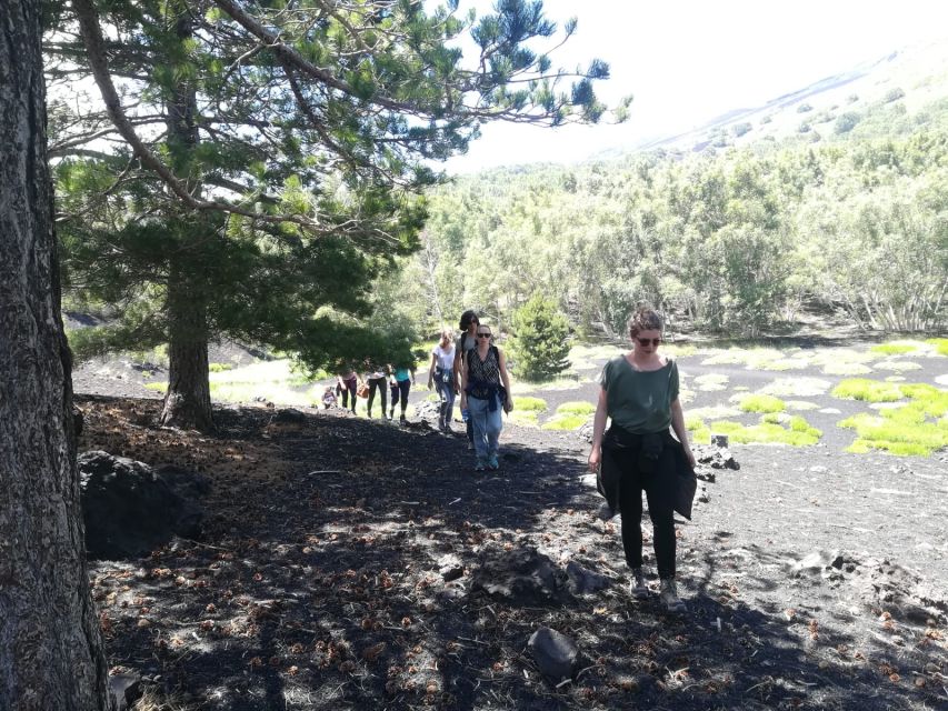 From Taormina: Half-Day Mount Etna Morning Trek - Who should book this Etna trek?