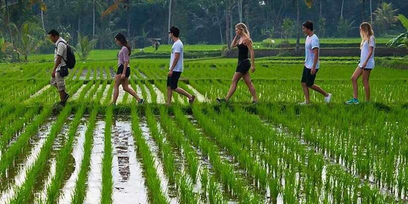 From Ubud: 3-Hour Tropical Trek and Taro Village Tour - Quick reasons to consider the Taro trek