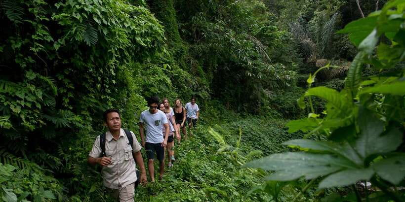 From Ubud: 3-Hour Tropical Trek and Taro Village Tour - Hotel pickup makes the morning simpler