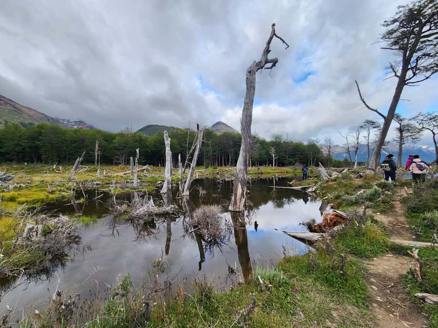 From Ushuaia: Tierra del Fuego Emerald Lagoon Trekking Tour - Leaving Ushuaia for the Esmeralda River