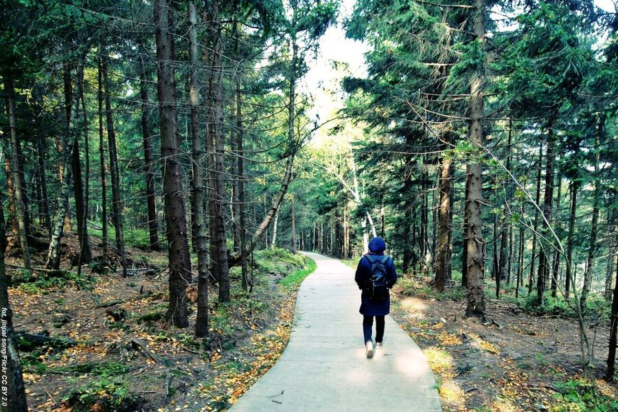 From Wroclaw: Full-Day Stolowe Mountains Trekking Tour - Booking tips for a smoother day