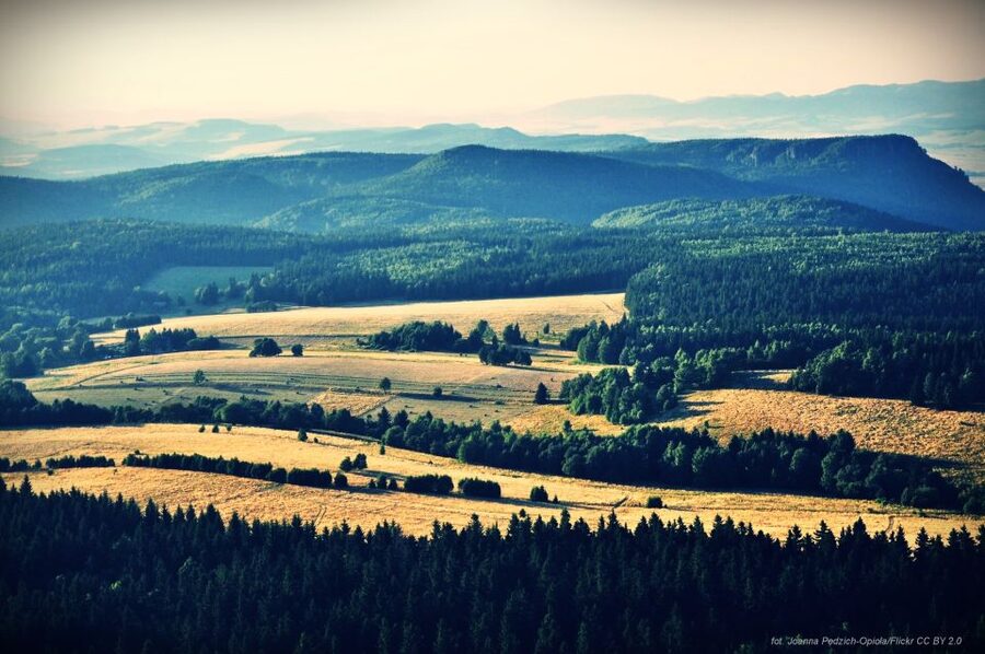 From Wroclaw: Full-Day Stolowe Mountains Trekking Tour - Transport, guide service, and private touring