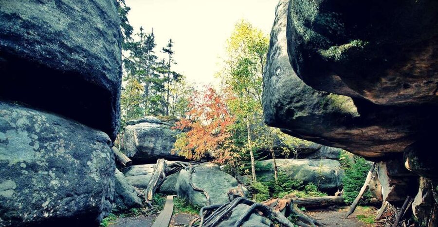 From Wroclaw: Full-Day Stolowe Mountains Trekking Tour - The climb from Karlow to Szczeliniec Wielki