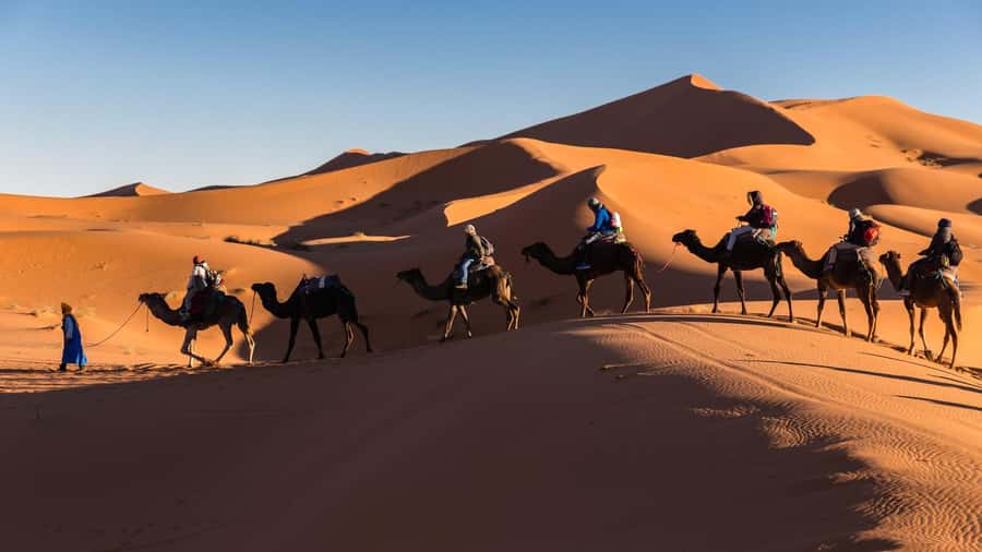 From Zagora: 3-Desert Tour to Erg Chigaga Dunes & Caml Trek - My final call on the $448 Erg Chigaga tour