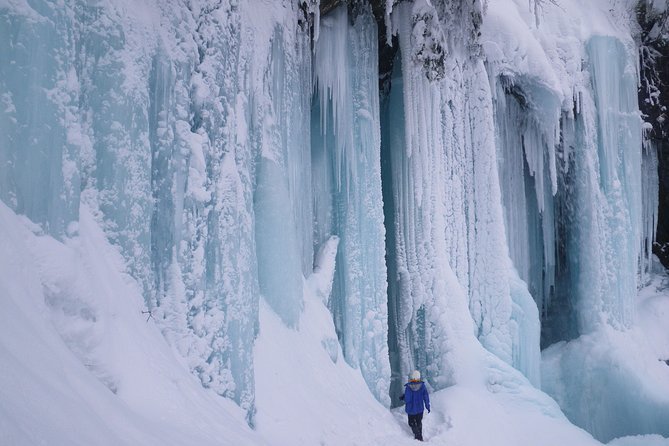 Frozen fall trekking - The opening walk: snowshoes, trees, and cold mountain air