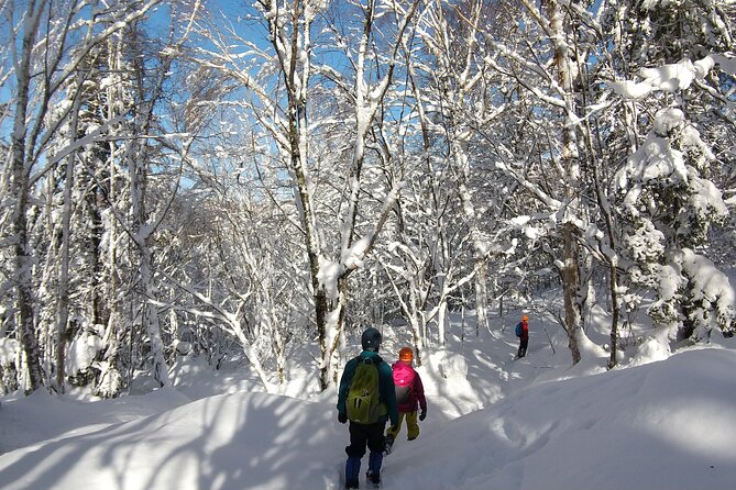 Frozen fall trekking - A private group changes the pace