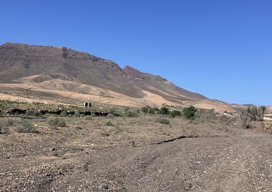 Fuerteventura: Guided Trekking Tour with Island Goats - Who should book this goat trek?
