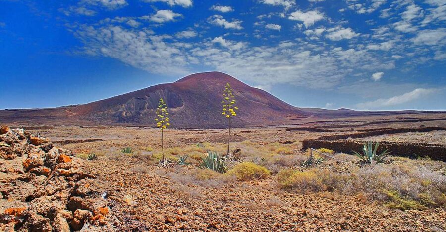 Fuerteventura: Trekking Tour Through the North of the Island - Crossing fossilized dunes and La Cañada de Melian