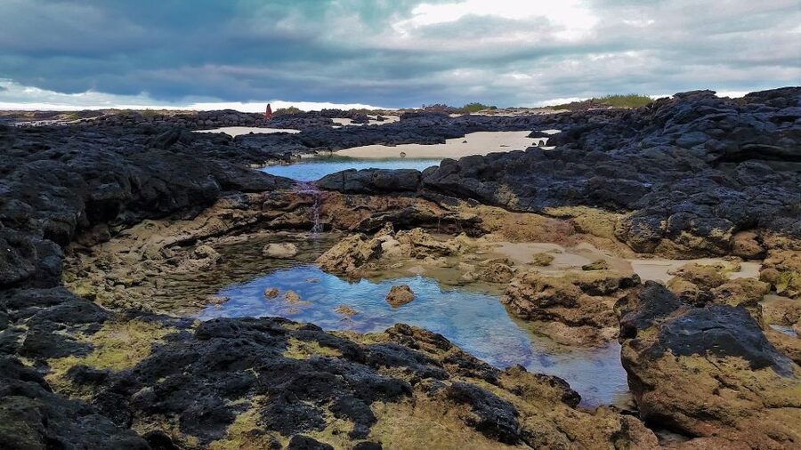 Fuerteventura: Trekking Tour Through the North of the Island - Who should book this tour?