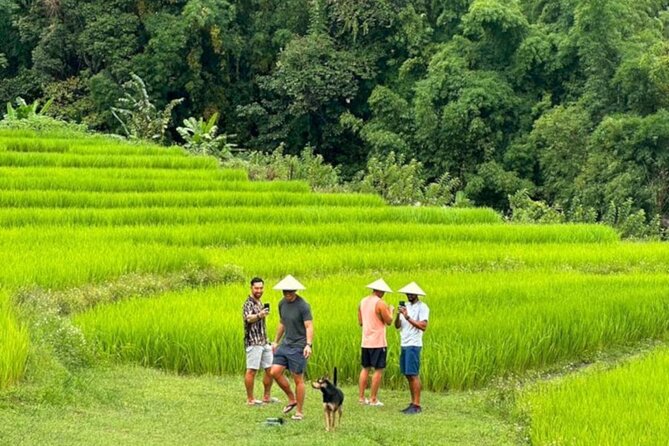 Full-Day Doi Inthanon National Park Tour with Trek and Pagodas - What this Doi Inthanon day trip is really about