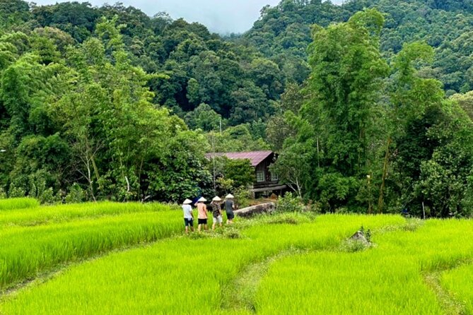 Full-Day Doi Inthanon National Park Tour with Trek and Pagodas - Lunch at the Hmong Market and a taste of local life