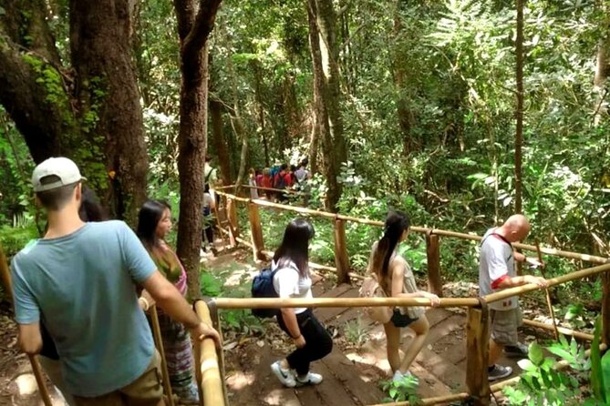 Full-Day Doi Inthanon National Park Tour with Trek and Pagodas - Coffee in Baan Mae Klang Luang