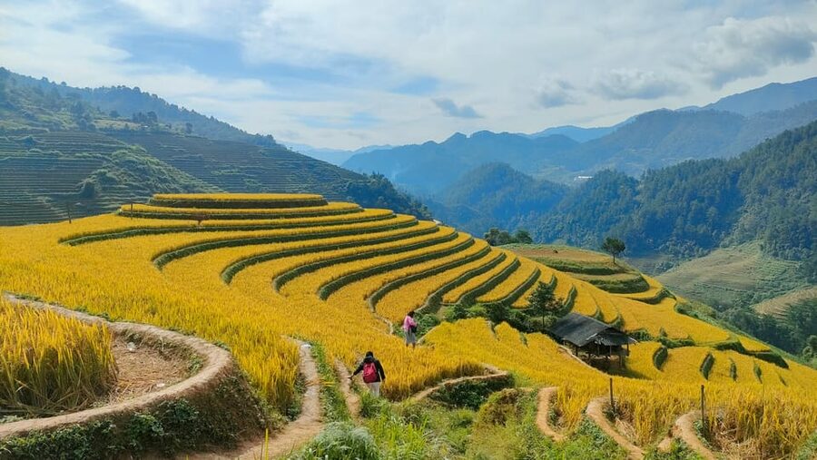 Full Day Private Trekking Mu Cang Chai - Why the guide makes the difference