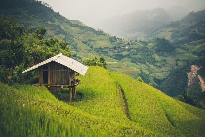 Full Day Private Trekking Mu Cang Chai - Lunch in the middle of a long walking day