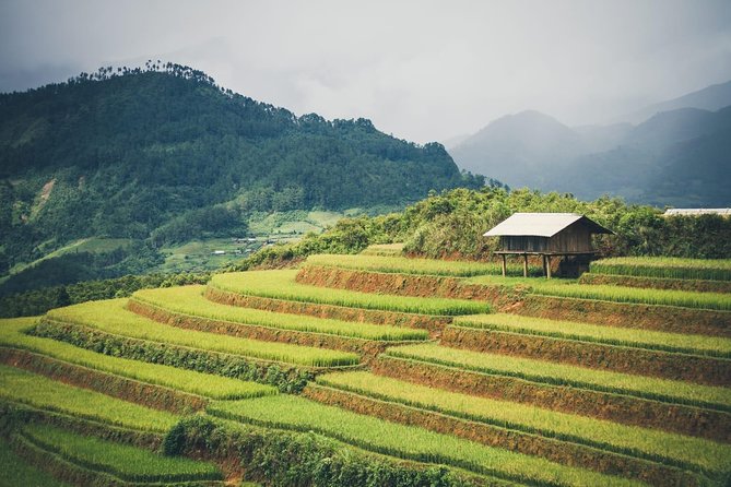 Full Day Private Trekking Mu Cang Chai - What the $80 price really covers