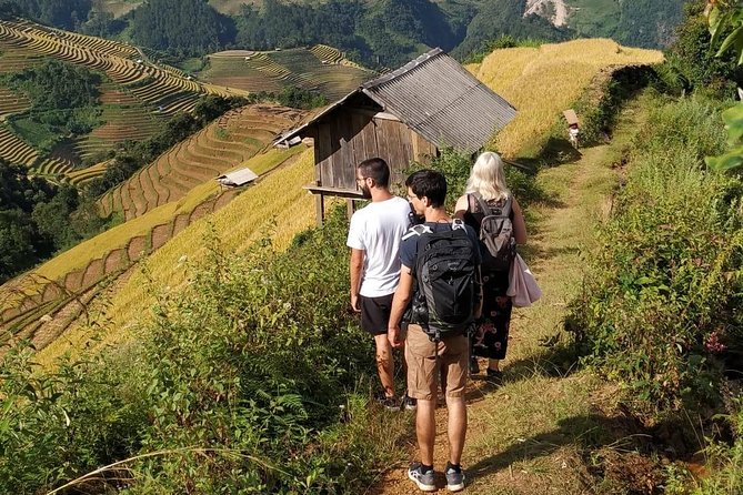 Full Day Private Trekking Mu Cang Chai - Starting from La Pan Tan