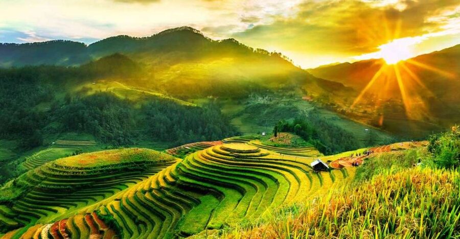 Full Day Tour in Sapa Trekking with Local guide - Walking through rice, corn, and potato fields