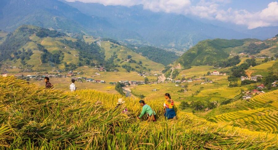Full Day Tour in Sapa Trekking with Local guide - Lunch with local foods before the afternoon transfer
