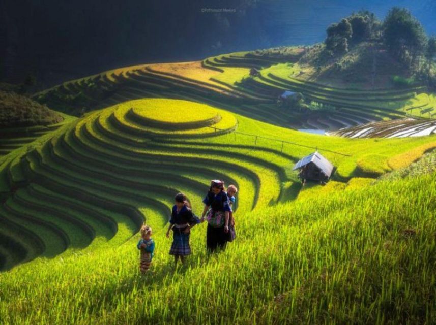 Full Day Tour in Sapa Trekking with Local guide - What the $49 price really covers
