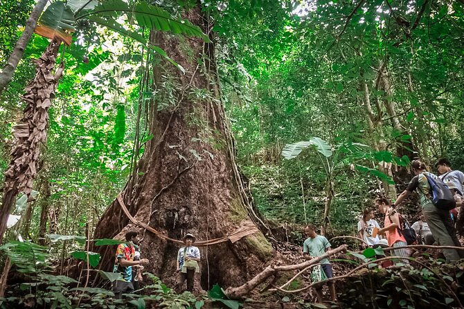 Full-Day Trekking and Sightseeing Tour in Mae Kampong - Why Mae Kampong makes a good day trip from Chiang Mai
