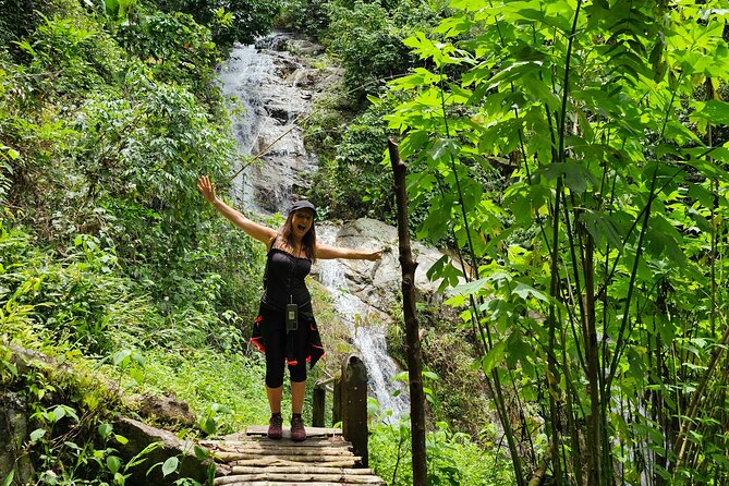 Full-Day Trekking and Sightseeing Tour in Mae Kampong - Meeting the gibbons and supporting their care