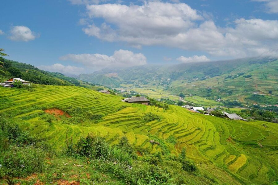 Full Day Trekking Lao Chai-Ta Van and Cat Cat Village - Key points to know before booking