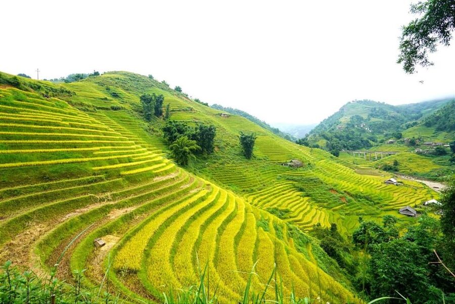Full Day Trekking Lao Chai-Ta Van and Cat Cat Village - Lunch is practical, not a major food event
