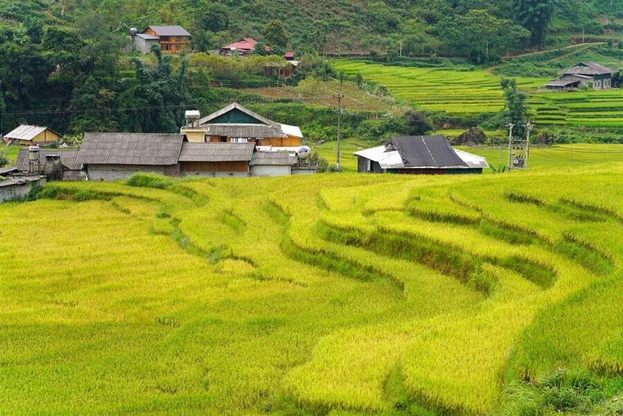 Full Day Trekking Lao Chai-Ta Van and Cat Cat Village - The guides make the difference