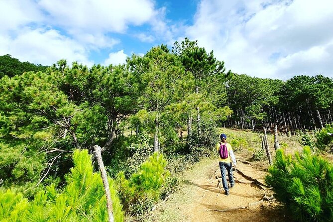 Full day Trekking On Langbiang Mountain - What makes this Langbiang hike worth considering