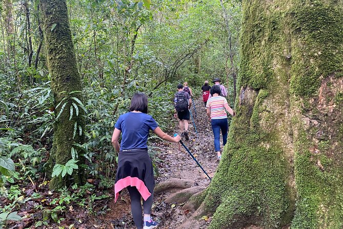 Full day Trekking On Langbiang Mountain - Starting from Da Lat at 8:00 am